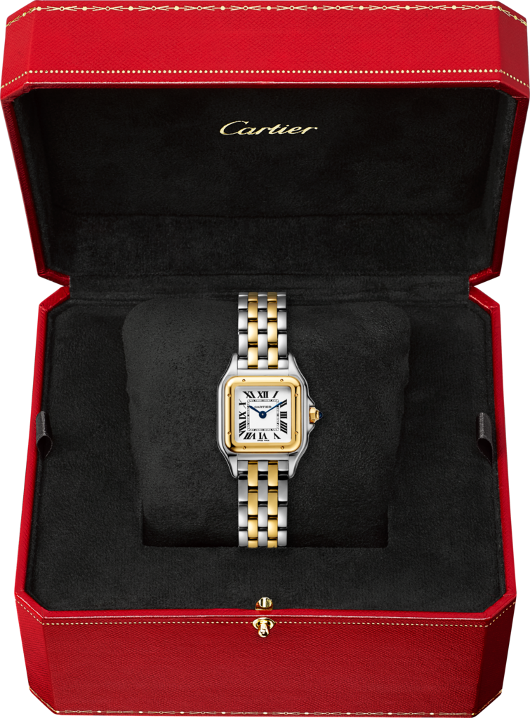 CARTIER - PANTHÈRE