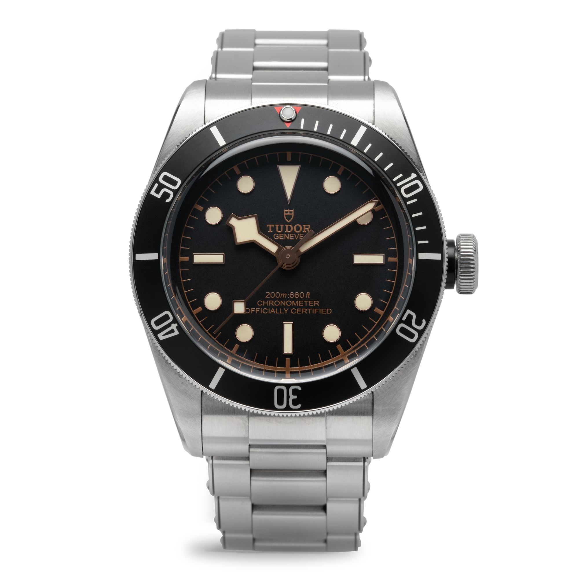 TUDOR - BLACK BAY-exchage-image