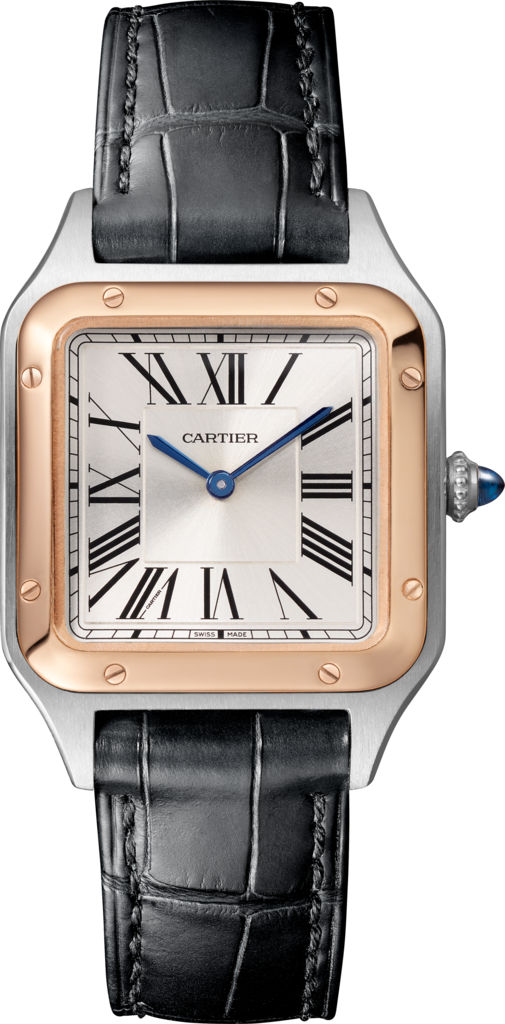 CARTIER - SANTOS DUMONT-exchage-image