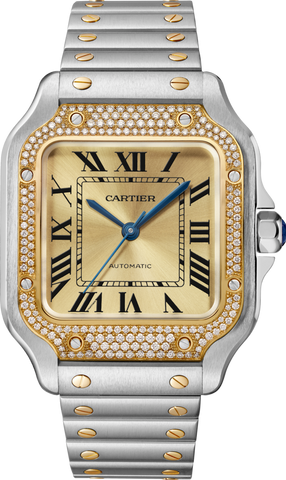 CARTIER - SANTOS
